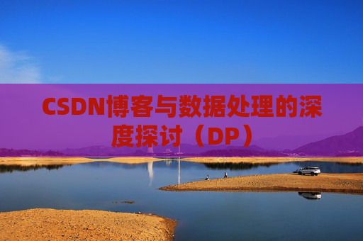 CSDN博客与数据处理的深度探讨（DP）